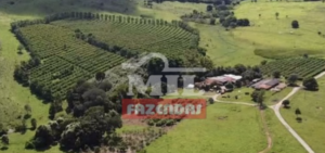 Fazenda em Goiânia - Goiás – Mil Fazendas