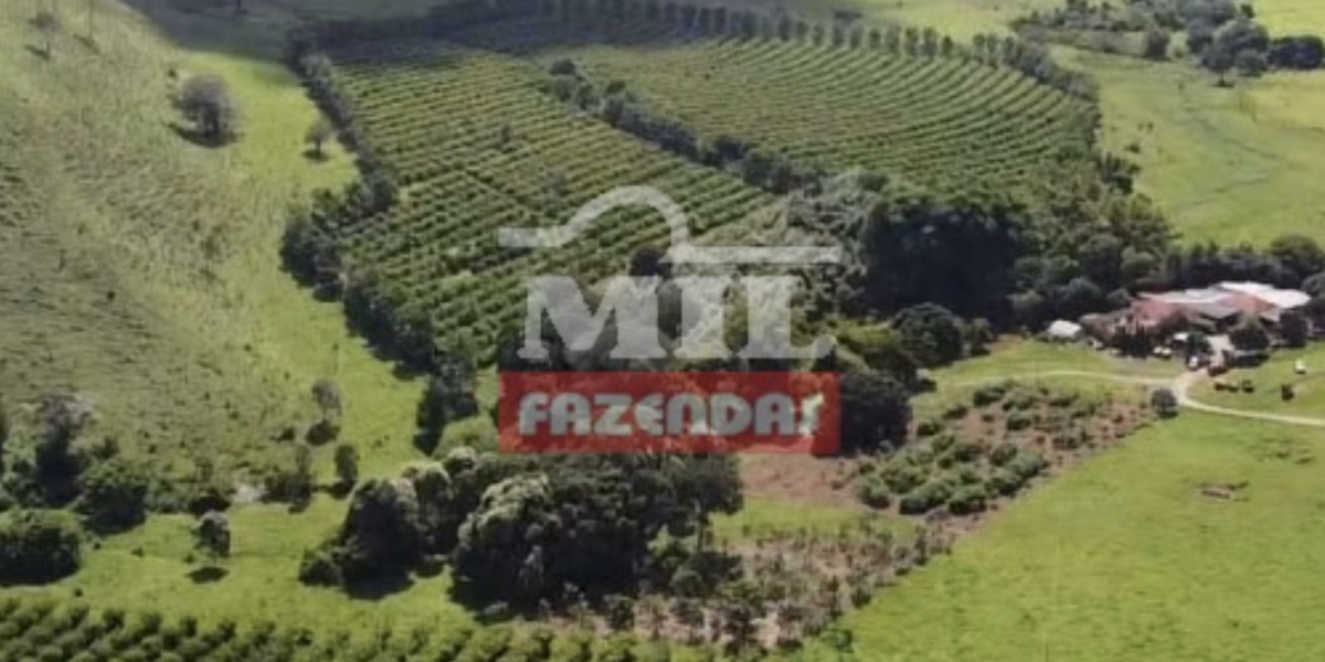 Fazenda em Goiânia - Goiás – Mil Fazendas