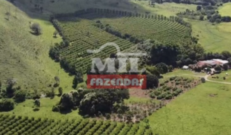 Fazenda em Goiânia - Goiás – Mil Fazendas