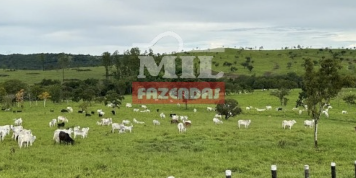 Fazenda em Goiás - Goiás – Mil Fazendas