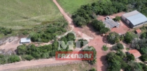 Fazenda em Miranorte - Tocantins – Mil Fazendas