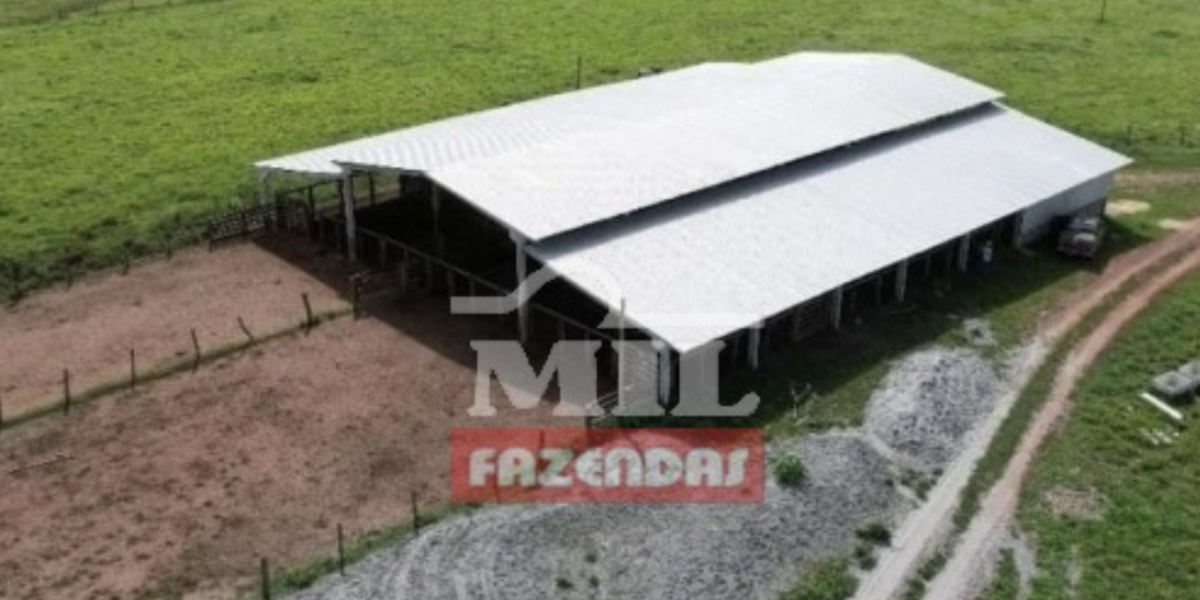 Fazenda em Miranorte - Tocantins – Mil Fazendas