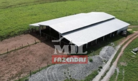 Fazenda em Miranorte - Tocantins – Mil Fazendas