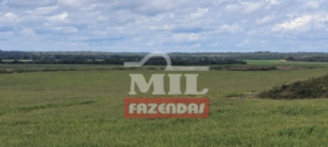 Fazenda em Pedro Afonso - Tocantins – Mil Fazendas