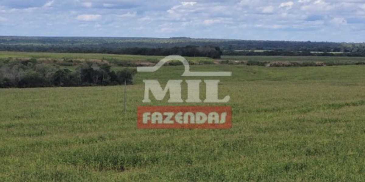 Fazenda em Pedro Afonso - Tocantins – Mil Fazendas