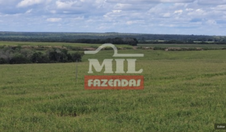 Fazenda em Pedro Afonso - Tocantins – Mil Fazendas