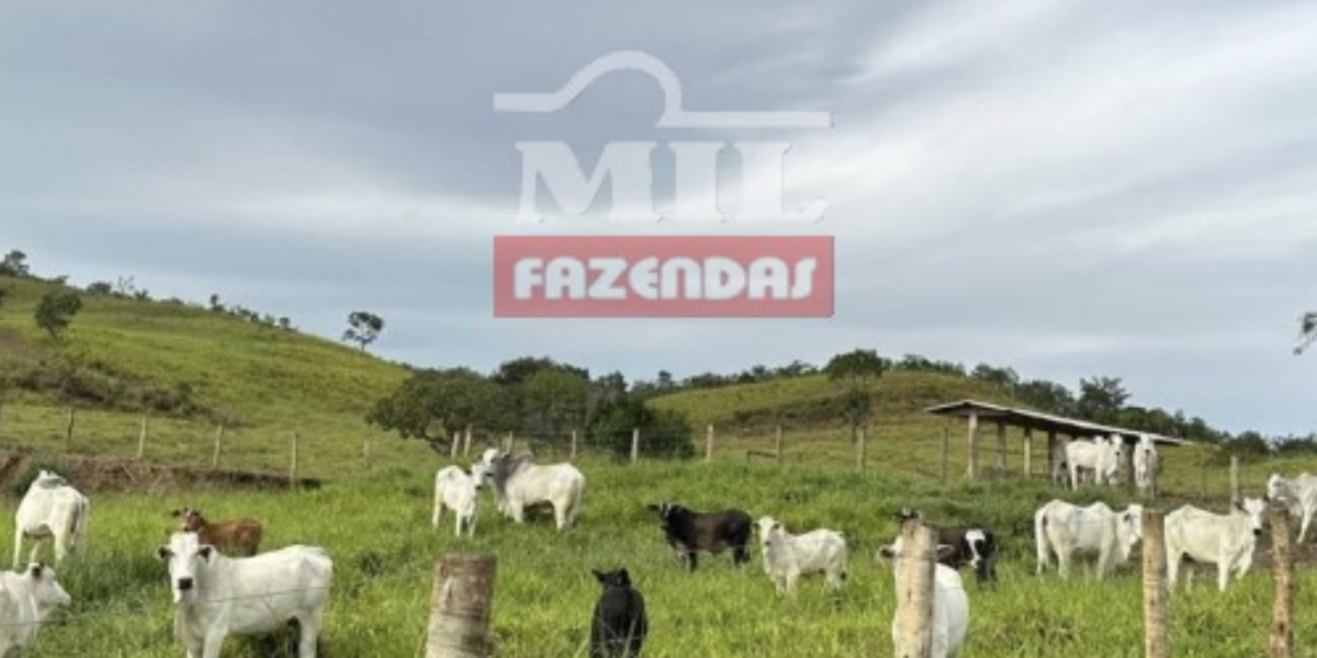 Fazenda em Pirenópolis - Goiás – Mil Fazendas