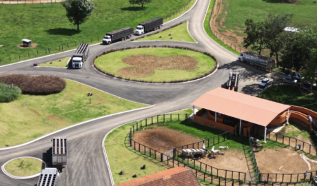 Fazenda em Poços de Caldas - Minas Gerais