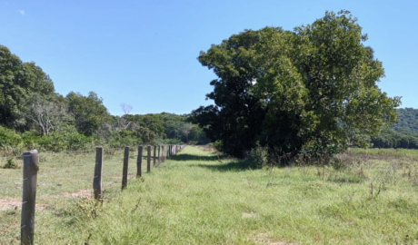 Fazendas Mistas à Venda: Diversifique sua Produção e Aumente sua Renda