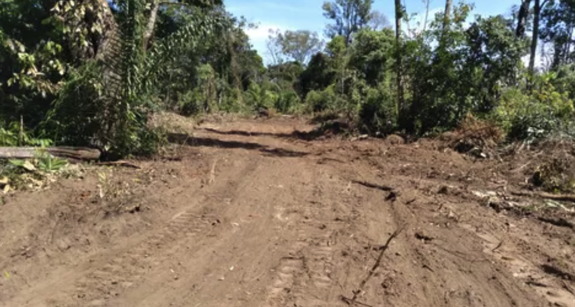 Fazendas à Venda: Conquiste a Vida no Campo com a Propriedade Ideal