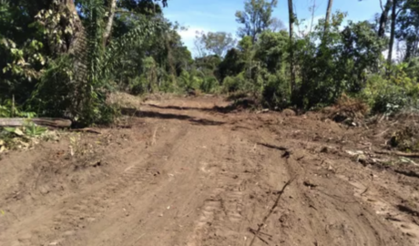 Fazendas à Venda: Conquiste a Vida no Campo com a Propriedade Ideal