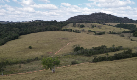 Fazendas com mais de 100 Hectares à Venda: Amplo Espaço para suas Atividades