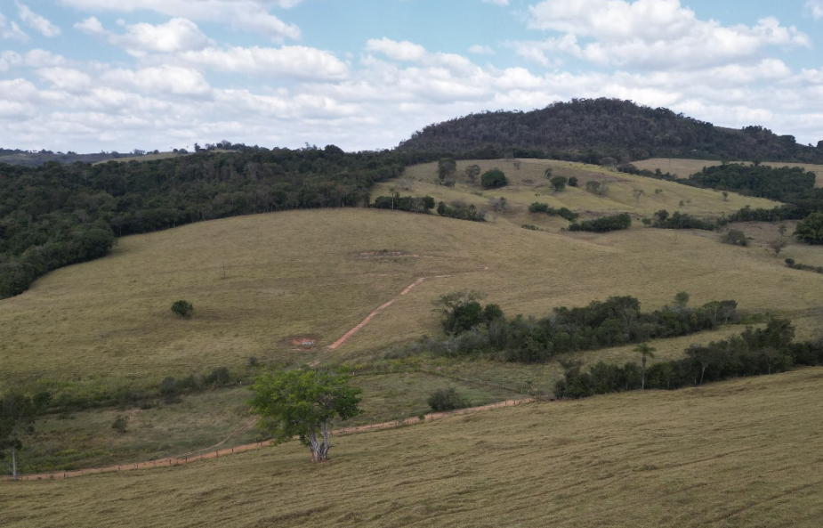 Fazendas com mais de 100 Hectares à Venda: Amplo Espaço para suas Atividades