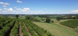 Sítio em Botelhos - Minas Gerais