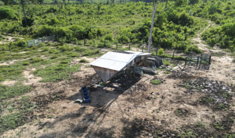 Sítios e Chácaras à Venda: Pequenas Propriedades com Grande Potencial