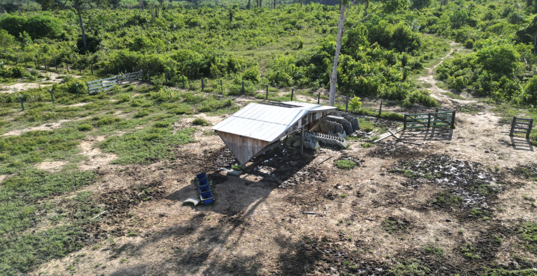 Sítios e Chácaras à Venda: Pequenas Propriedades com Grande Potencial