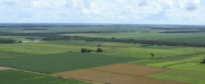 1 Fazenda dos Sonhos à Venda: Não Perca Essa Oportunidade!