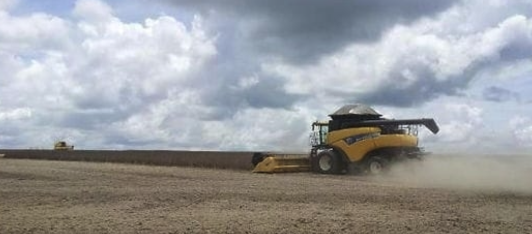 1 Fazenda dos Sonhos à Venda: Não Perca Essa Oportunidade!