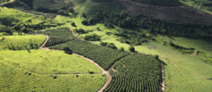 5 Melhores Fazendas à Venda em Minas Gerais: Um Paraíso Rural te Espera