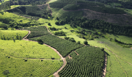 5 Melhores Fazendas à Venda em Minas Gerais: Um Paraíso Rural te Espera