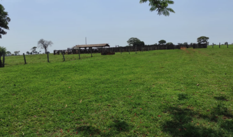 7 Fazendas com Vista Espetacular à Venda