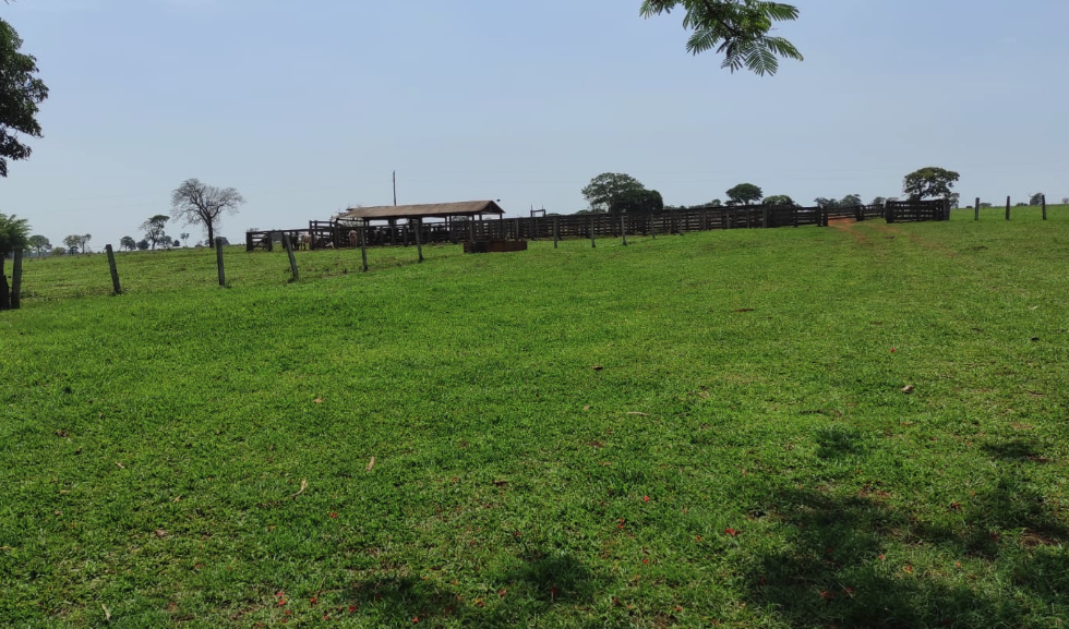 7 Fazendas com Vista Espetacular à Venda