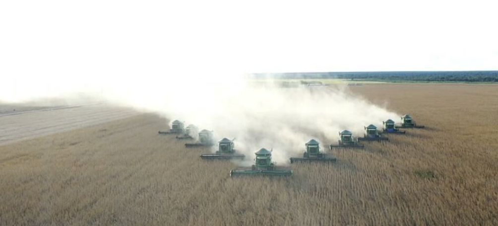 A Vida que Você Sempre Quis: Fazenda à Venda