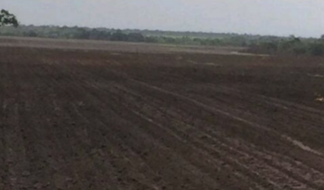 Abrace a Vida no Campo: Fazenda à Venda