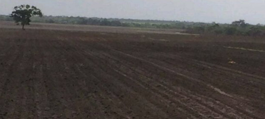 Abrace a Vida no Campo: Fazenda à Venda