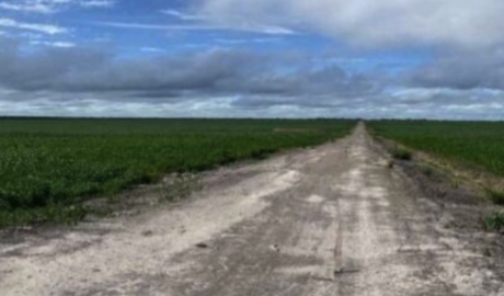 Conecte-se com a Natureza: Fazenda à Venda