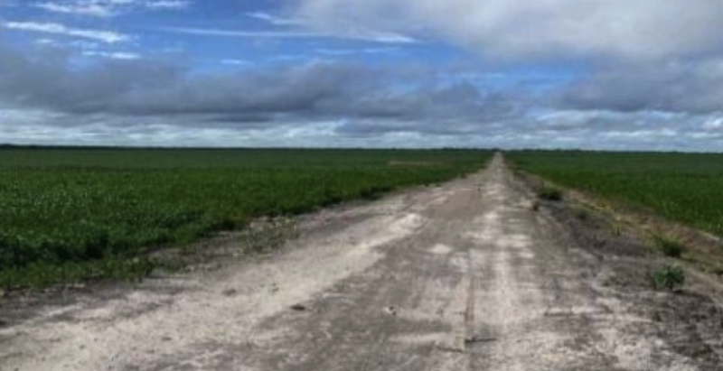 Conecte-se com a Natureza: Fazenda à Venda