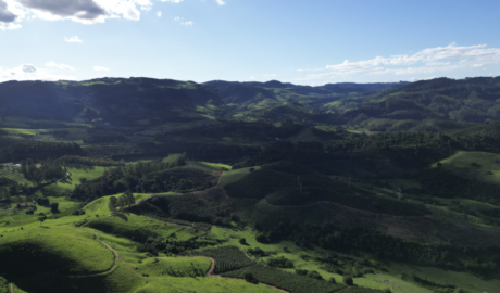 Fazenda à Venda: Garanta seu Pedacinho do Paraíso Agora Mesmo