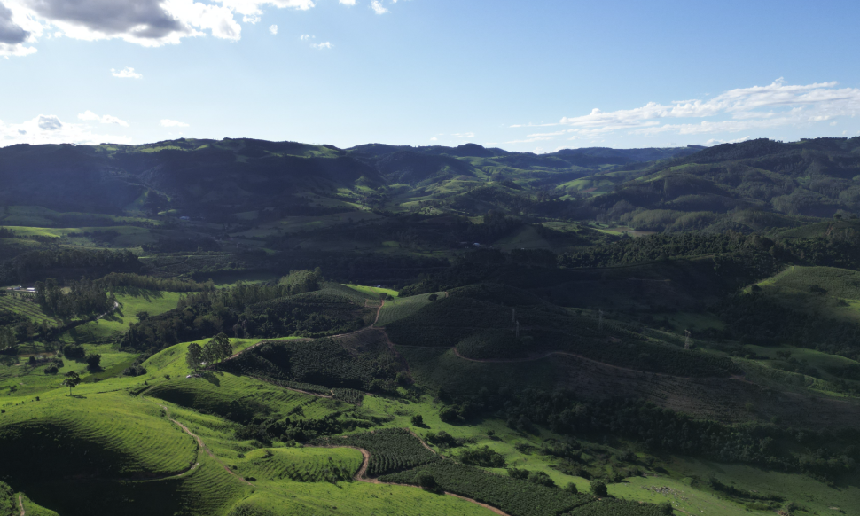 Fazenda à Venda: Garanta seu Pedacinho do Paraíso Agora Mesmo