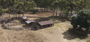 Fazenda à Venda: Onde a Vida Faz Sentido