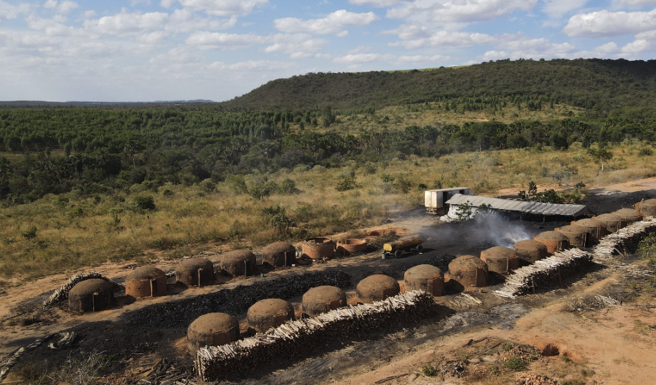 Fazenda à Venda: Onde a Vida Faz Sentido