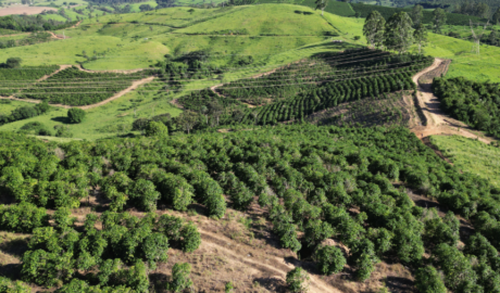 Joia Rara no Mercado Imobiliário Rural: Sua Fazenda dos Sonhos Aguarda