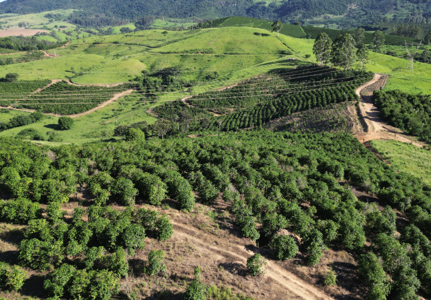 Joia Rara no Mercado Imobiliário Rural: Sua Fazenda dos Sonhos Aguarda