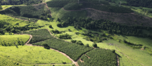 Fazenda dos Sonhos à Venda: Conquiste seu Paraíso Particular