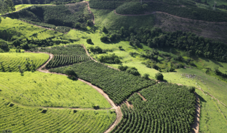 Fazenda dos Sonhos à Venda: Conquiste seu Paraíso Particular