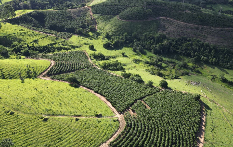 Fazenda dos Sonhos à Venda: Conquiste seu Paraíso Particular