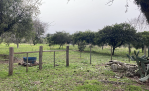 Fazendas com Boa Infraestrutura à Venda: O Investimento Perfeito para o Agronegócio