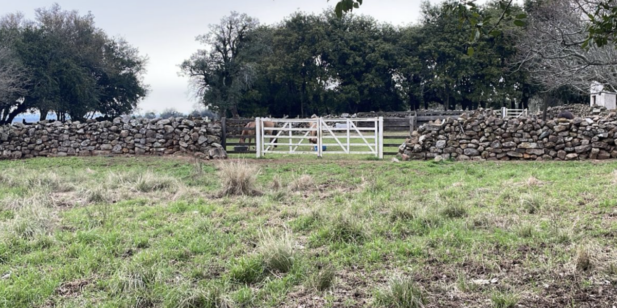 Fazendas com Boa Infraestrutura à Venda: O Investimento Perfeito para o Agronegócio