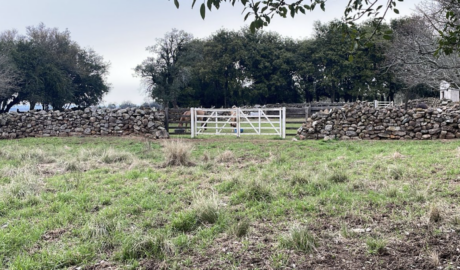 Fazendas com Boa Infraestrutura à Venda: O Investimento Perfeito para o Agronegócio