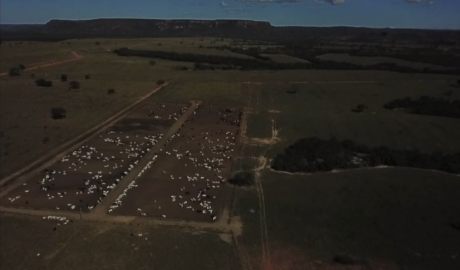 Fazendas com Clima Agradável à Venda: Conforto e Bem-estar no Campo