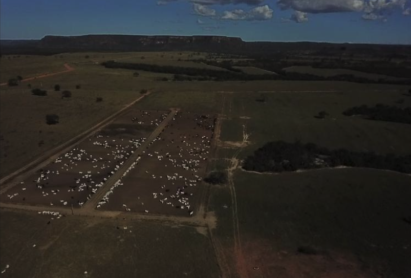 Fazendas com Clima Agradável à Venda: Conforto e Bem-estar no Campo