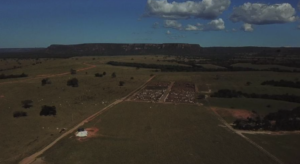 Fazendas com Clima Agradável à Venda: Conforto e Bem-estar no Campo