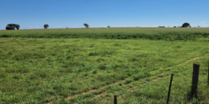 Fazendas com Relevo Favorável à Venda: A Chave para a Eficiência Agrícola