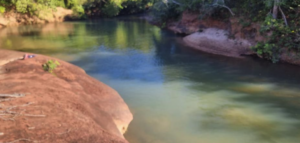 Fazendas com Vista Panorâmica à Venda: Beleza Natural e Inspiração