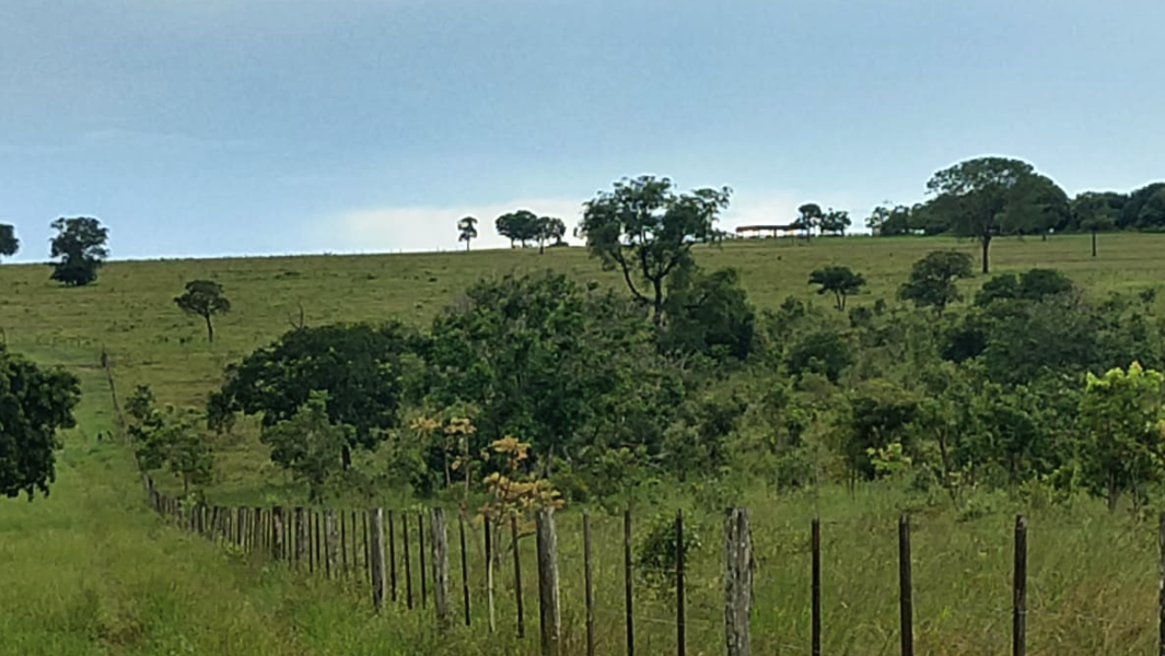 Fazendas com Vista Panorâmica à Venda: Beleza Natural e Inspiração