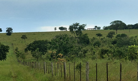 Fazendas com Vista Panorâmica à Venda: Beleza Natural e Inspiração